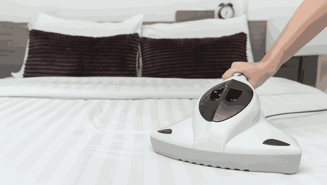 Professional Mattress Cleaning Blackburn